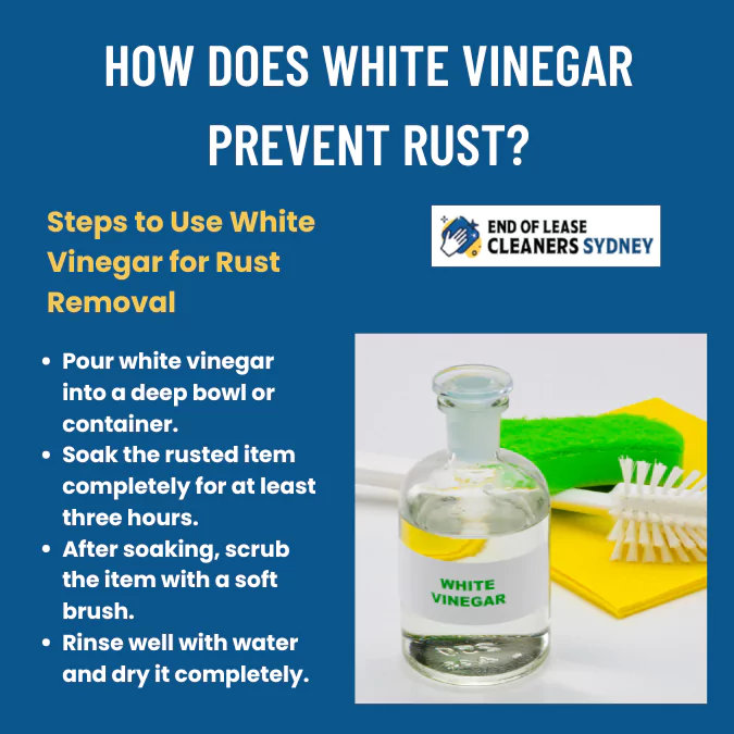 How Does White Vinegar Prevent Rust  at Home